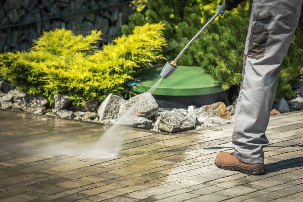Best Dumpster Area Cleaning  in Cheree, OK