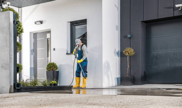 Best Graffiti Removal  in Cheree, OK